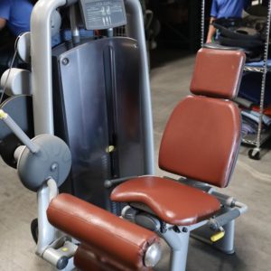 Refurbished Technogym Selection Leg Curl