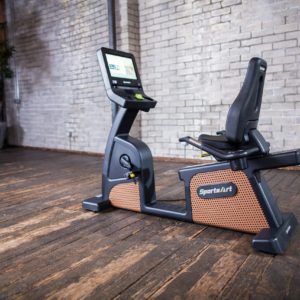 SportsArt C536R Status Senza Recumbent Cycle