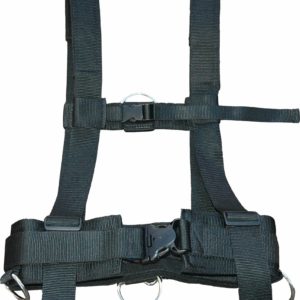 Prism Workhorse Harness